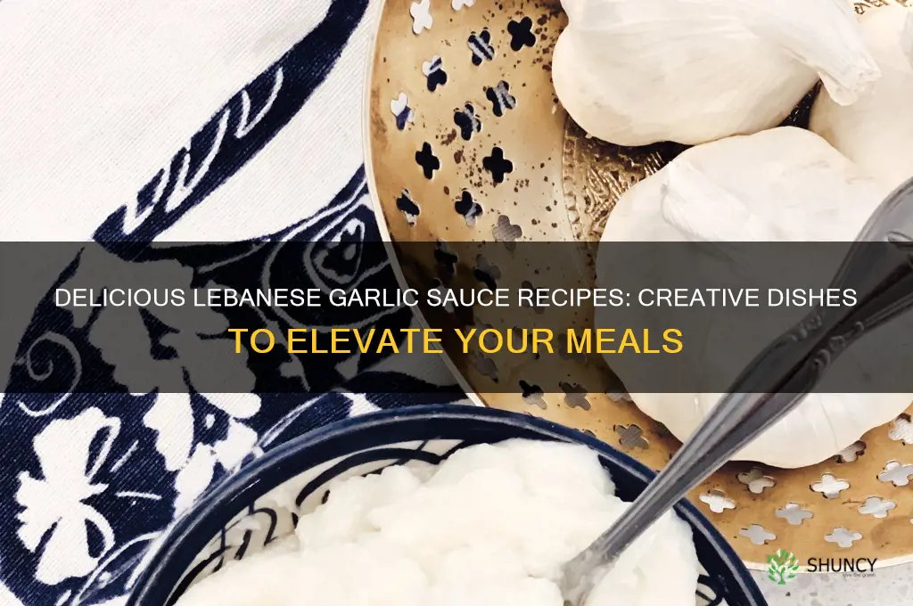 Beyond Shawarma: 9 Ways to Serve Lebanese Garlic Sauce